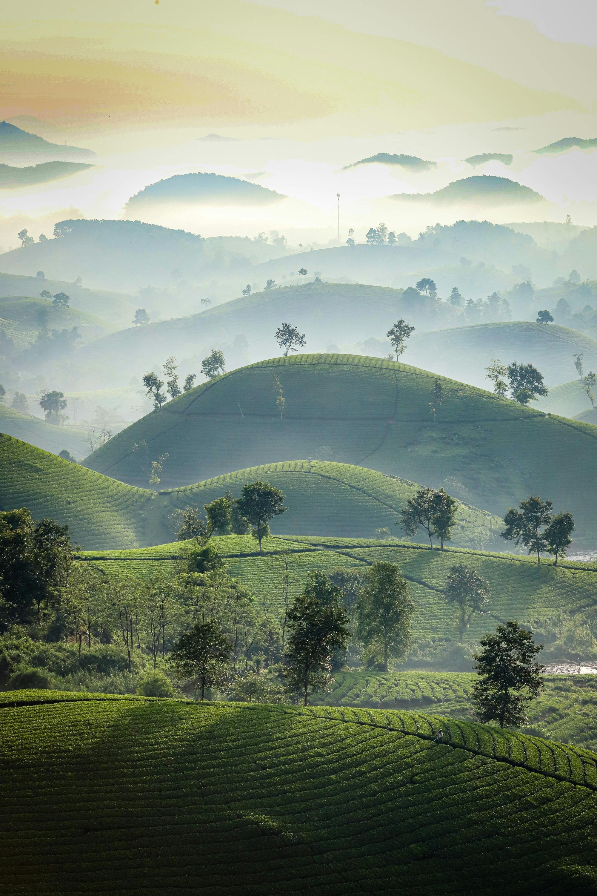 Morning Vietnam tour